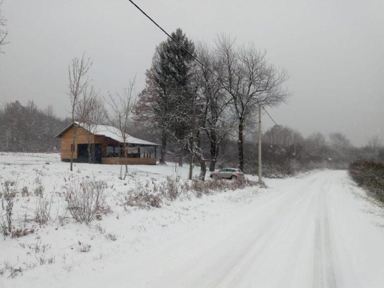 Evergreen House Plitvice Rakovica Exteriör bild