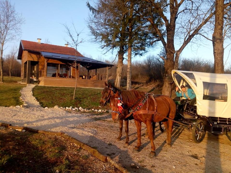 Evergreen House Plitvice Rakovica Exteriör bild